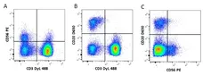 Anti Mouse IgG2a Antibody, clone AbD24124 gallery image 4
