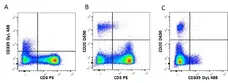 Anti Mouse IgG2a Antibody, clone AbD24124 gallery image 5