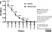 Anti Mouse IgG2a Heavy Chain Antibody, clone LO-MG2a-7 thumbnail image 1