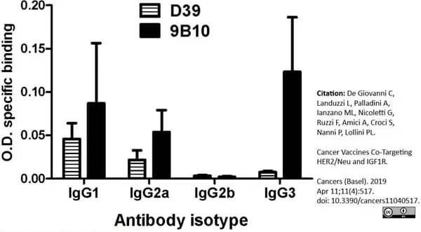 Anti Mouse IgG2a Heavy Chain Antibody, clone LO-MG2a-7 gallery image 2