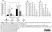 Anti Mouse IgG2a Heavy Chain Antibody, clone LO-MG2a-9 thumbnail image 1