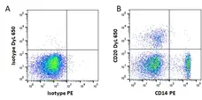 Anti Mouse IgG2b Antibody, clone AbD24127 gallery image 1