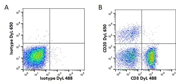 Anti Mouse IgG2b Antibody, clone AbD24127 gallery image 2