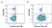 Anti Mouse IgG2b Antibody, clone AbD24127 thumbnail image 3