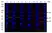 Anti Mouse IgG2b Antibody, clone AbD24127 thumbnail image 8