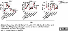 Anti Mouse IgM Heavy Chain Antibody, clone LO-MM-3 gallery image 1