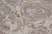 Anti Mouse JAGGED2 Antibody, clone HMJ2-1 thumbnail image 2