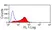Anti Mouse JAM-C Antibody, clone CRAM-18 F26 thumbnail image 2