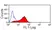 Anti Mouse JAM-C Antibody, clone CRAM-19 H36 thumbnail image 1