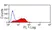 Anti Mouse JAM-C Antibody, clone CRAM-19 H36 thumbnail image 2