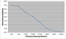 Anti Mouse Kappa Light Chain Antibody, clone OX-20 gallery image 4