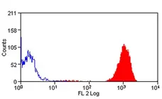 Anti Mouse Ly-6B.2 Alloantigen Antibody, clone 7/4 gallery image 15