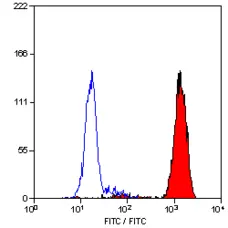 Anti Mouse Ly-6B.2 Alloantigen Antibody, clone 7/4 gallery image 16