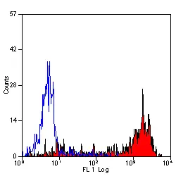 Anti Mouse Ly-6B.2 Alloantigen Antibody, clone 7/4 gallery image 17