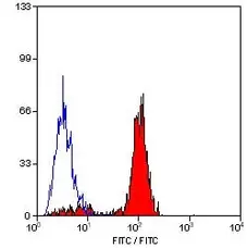 Anti Mouse Ly-6B.2 Alloantigen Antibody, clone 7/4 gallery image 19
