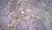 Anti Mouse Ly-6B.2 Alloantigen Antibody, clone 7/4 thumbnail image 21