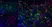 Anti Mouse Ly-6B.2 Alloantigen Antibody, clone 7/4 thumbnail image 25