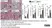 Anti Mouse Ly-6B.2 Alloantigen Antibody, clone 7/4 thumbnail image 29