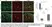Anti Mouse Ly-6B.2 Alloantigen Antibody, clone 7/4 thumbnail image 34