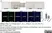 Anti Mouse Ly-6B.2 Alloantigen Antibody, clone 7/4 thumbnail image 36