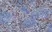 Anti Mouse Ly-6B.2 Alloantigen Antibody, clone 7/4 thumbnail image 37