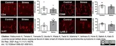 Anti Mouse Ly-6B.2 Alloantigen Antibody, clone 7/4 gallery image 44