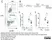 Anti Mouse Ly-6B.2 Alloantigen Antibody, clone 7/4 thumbnail image 55