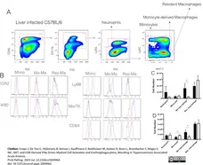 Anti Mouse Ly-6B.2 Alloantigen Antibody, clone 7/4 gallery image 7