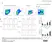 Anti Mouse Ly-6B.2 Alloantigen Antibody, clone 7/4 thumbnail image 7