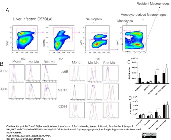 Anti Mouse Ly-6B.2 Alloantigen Antibody, clone 7/4 gallery image 7