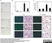 Anti Mouse Ly-6B.2 Alloantigen Antibody, clone 7/4 thumbnail image 8