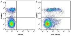 Anti Mouse Ly-6C Antibody, clone ER-MP20 gallery image 10