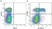 Anti Mouse Ly-6C Antibody, clone ER-MP20 thumbnail image 18