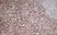 Anti Mouse Ly-6C Antibody, clone ER-MP20 thumbnail image 2