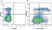 Anti Mouse Ly-6C Antibody, clone ER-MP20 thumbnail image 24