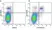 Anti Mouse Ly-6C Antibody, clone ER-MP20 thumbnail image 25