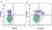 Anti Mouse Ly-6C Antibody, clone ER-MP20 thumbnail image 26