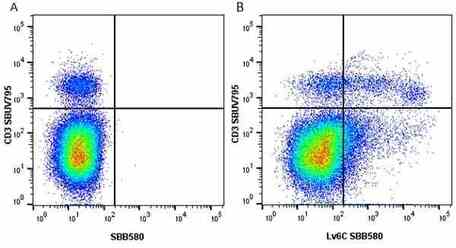 Anti Mouse Ly-6C Antibody, clone ER-MP20 | Bio-Rad