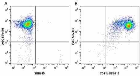 Anti Mouse Ly-6C Antibody, clone ER-MP20 | Bio-Rad