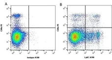 Anti Mouse Ly-6C Antibody, clone ER-MP20 gallery image 5