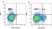 Anti Mouse Ly-6C Antibody, clone ER-MP20 thumbnail image 6