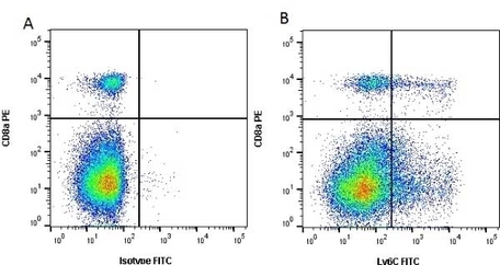 Anti Mouse Ly-6c Antibody, Clone Er-mp20 