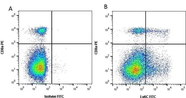 Anti Mouse Ly-6C Antibody, clone ER-MP20 gallery image 8