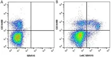 Anti Mouse Ly-6C Antibody, clone ER-MP20 gallery image 9