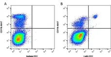 Anti Mouse Ly-6G Antibody, clone 1A8 gallery image 1