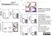 Anti Mouse Macrophages/Monocytes Antibody, clone MOMA-2 thumbnail image 14