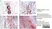 Anti Mouse Macrophages/Monocytes Antibody, clone MOMA-2 thumbnail image 16