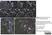 Anti Mouse Macrophages/Monocytes Antibody, clone MOMA-2 thumbnail image 18