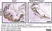 Anti Mouse Macrophages/Monocytes Antibody, clone MOMA-2 thumbnail image 23