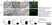Anti Mouse Macrophages/Monocytes Antibody, clone MOMA-2 thumbnail image 6